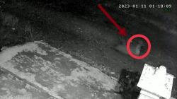 Merangin Geger, Sosok Diduga Tuyul Terekam CCTV Mondar-mandir di Depan Rumah Warga