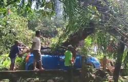 Tertimpa Pohon Tumbang, Driver Taksi Online Tewas di Tempat