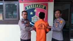 Gondol 3 Sapi Warga, Spesialis Pencurian di Pringsewu Terancam 7 Tahun Penjara