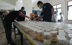 Ratusan Pegawai di Lingkungan Pemkab Penajam Paser Utara Dites Urine