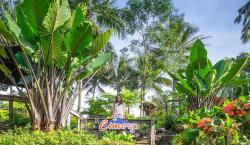 Harga Tiket Masuk Cimory On The Valley Terbaru 2023, Dari Rp15.000 hingga Rp35.000