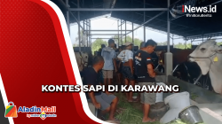Ratusan Peserta Meriahkan Lomba Kontes Sapi di Karawang<