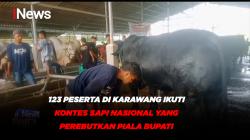 123 Peserta di Karawang Ikuti Kontes Sapi Nasional yang Perebutkan Piala Bupati<