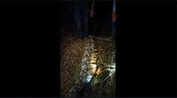 Mangsa 3 Kambing Ternak, Ular Piton 8 Meter di Muarojambi Ditangkap Warga