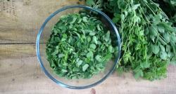 Yuk, Masak Daun Kelor, Berkhasiat Kontrol Gula Darah hingga Jaga Kesehatan Kulit 