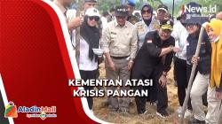 Krisis Pangan, Kementan Targetkan 1.000 Hektare Penanaman Sorgum di Sulsel