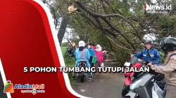 5 Pohon Tumbang Tutupi Ruas Jalan di Indramayu, Jalur Lalu Lintas Dialihkan