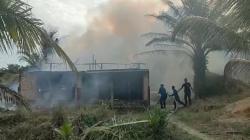 Kesal Tidak Diberi Uang untuk Nikah, Anak Bakar Rumah Orang Tua di Tebo