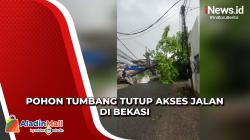 Pohon Tumbang di Jatiasih Bekasi Tutup Akses Jalan