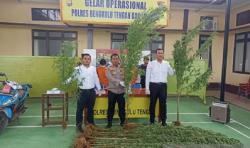 Polisi Sita 32 Batang Ganja Siap Panen di Lahan Seluas 1,5 Hektare