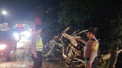 Pohon Tumbang Sudah Dievakuasi, Terowongan Ring Road Manado Kembali Lancar