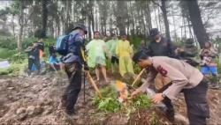 Polisi Temukan Ladang Ganja di Bontocani Bone