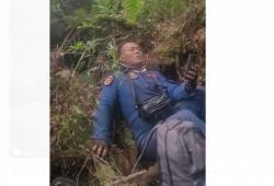 Helikopter Kapolda Jambi Mendarat Darurat di Hutan, Begini Kondisi Irjen Pol Rusdi Hartono