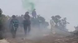 Viral Pendaki Gunung Gede Pangrango Nyalakan Bom Asap, Ini Respons TNGP Cianjur
