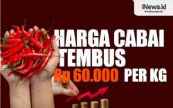 Infografis Harga Cabai di Palangka Raya Tembus Rp60.000 per Kg