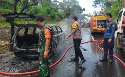Ini Dugaan Penyebab Livina Bawa Rombongan Ngunduh Mantu di Lampung Hangus Terbakar<