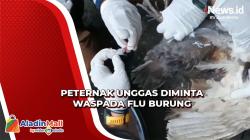 DKPP Jabar Minta Peternak Unggas Waspada Flu Burung