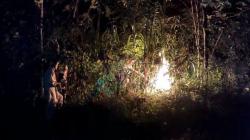 Warga Tewas Disengat Lebah, Damkar Boyolali Gelar Operasi Tangkap Tawon<