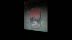 Viral Sejoli Bermesraan di Ayunan Taman Kota Sampang, Diduga Mesum