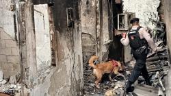 Anjing K9 Dikerahkan Cari Warga Sekitar Depo Plumpang yang Masih Hilang