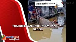 Heboh! Warga Tangkap Ikan Pari Raksasa Langka di Sungai Mahakam