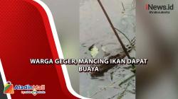 Warga Lumajang Dapat Buaya Ukuran 2 Meter saat Mancing Ikan di Sungai