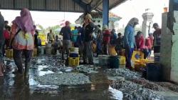 Pasokan Minim, Harga Ikan di Pantai Depok Bantul Naik Jelang Lebaran<