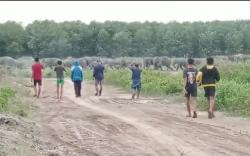 Viral Kawanan Gajah Keluar Hutan di OKI, BKSDA Berikan Penjelasan 