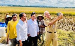 Momen Jokowi, Prabowo, dan Ganjar Tinjau Panen Raya di Kebumen: Ngobrol hingga Wefie