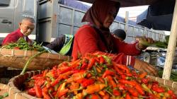 2 Pekan Jelang Ramadan, Harga Cabai Rawit di KBB Tembus Rp90.000 per Kg<