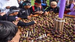 Keren, Manggis Wanayasa Purwakarta Ikut Andil Kuasai Pasar Internasional<