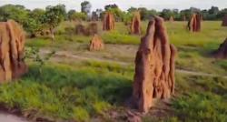 Kampung Unik di Merauke, di Desa Ini Muncul Candi Alami Terbuat dari Tanah Dihuni Koloni Semut 