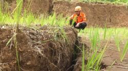Tanah Retak di Desa Sucopangepok Jember Bisa Picu Longsor, 500 Jiwa Terancam Mengungsi
