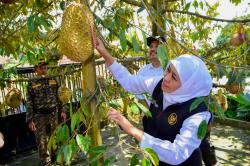 Gubernur Khofifah Puji Inovasi Holtikultura Pemuda Kabupaten Ngawi