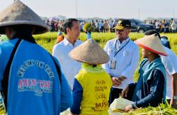 Panen Raya Ngawi, Presiden Jokowi Ajak Petani Lakukan Percepatan Tanam