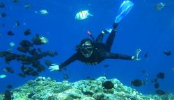 Melihat Keindahan Taman Laut Olele Gorontalo