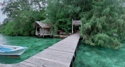 Menjaga Kelestarian Pantai dan Mangrove di Kepulauan Seribu dari Sampah Plastik 