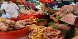 Harga Ayam Potong Mulai Naik, Jelang Ramadan Diprediksi Tembus Rp50.000 per Ekor