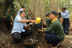   Penurunan Produksi Salak di Sleman akibat Alih Fungsi Lahan<