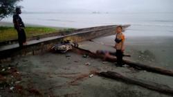 Kecelakaan di Jalan Holtekamp Jayapura, Pemotor Tewas Tabrak Batang Pohon Kelapa