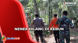 Nenek Asal Nias Utara Hilang di Kebun, Tim SAR Gabungan Dikerahkan