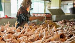 Harga Pangan Hari Ini Naik, Cabai Merah hingga Daging Ayam Melonjak!