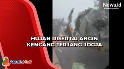 Hujan Disertai Angin Kencang Terjang Jogja, Sejumlah Pohon Tumbang Tutup Jalanan