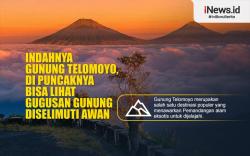 Infografis Keindahan Gunung Telomoyo yang Diselimuti Awan