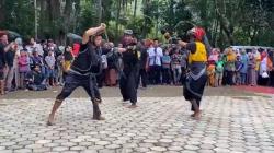 Meriahnya Tradisi Perang Rotan di Banjarnegara Jelang Ramadhan