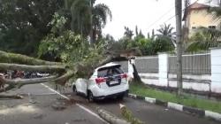 Pohon Tumbang Timpa 2 Mobil di Medan, Lalu Lintas sempat Terhambat
