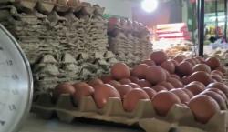 Pedagang Pasar Usul Ini ke Pemerintah supaya Harga Telur Terkendali