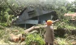 2 Rumah Warga di Mamuju Rusak Setelah Tertimpa Pohon Tumbang, Tidak Ada Korban Jiwa