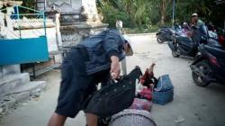 Polisi Gerebek Judi Sabung Ayam di Lampung Tengah, Pejudi Kocar-Kacir Tinggalkan Motor