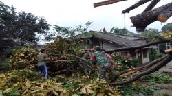 Diterjang Angin Kencang, Pohon Durian Tumbang Timpa Rumah di Pemalang